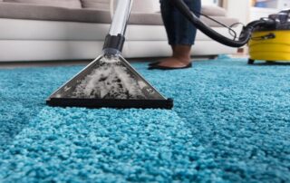 This image shows a vacuum being used to clean a blue carpet.