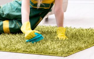 DIY Area Rug Cleaning Tips: Drying, Wool Care, and Cleaning on Hardwood Floors