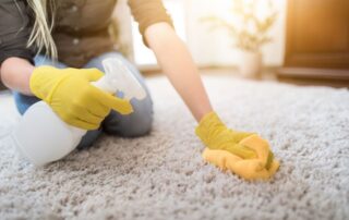 Understanding Area Rug Cleaning Costs: Pricing, Solutions, and Services