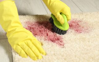 The Best Carpet Cleaning Solutions: DIY, Pet-Friendly, and Expert Picks